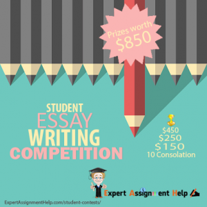 essay experience in a competition